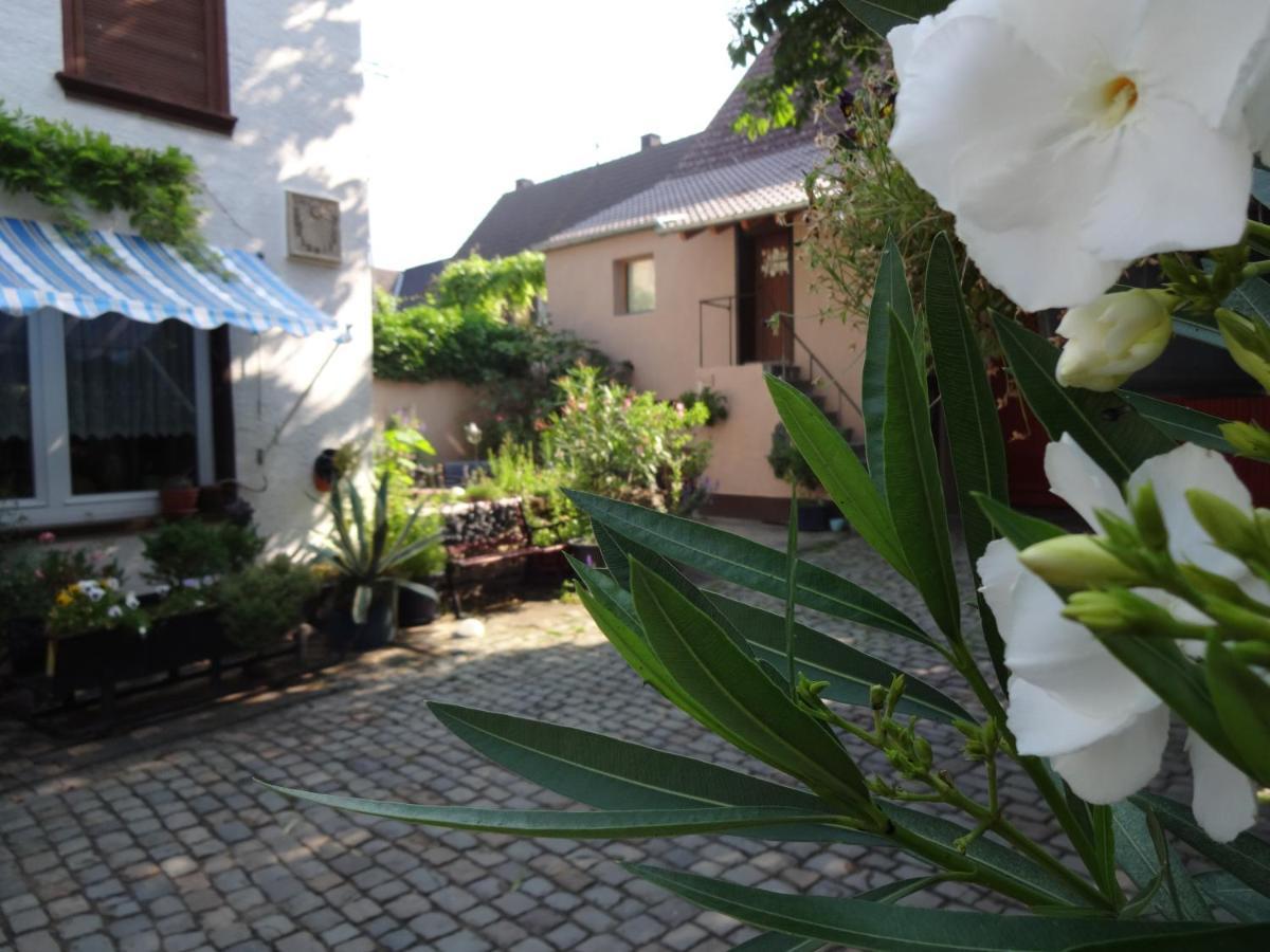 Pension Deerkemer Kuh Dorn-Durkheim Buitenkant foto