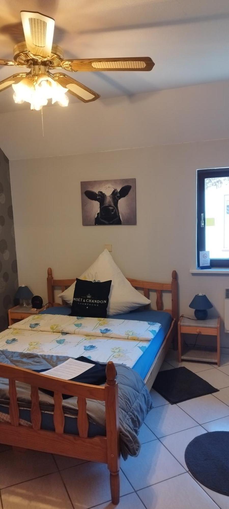 Pension Deerkemer Kuh Dorn-Durkheim Kamer foto